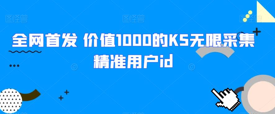 全网首发 价值1000的KS无限采集精准用户id-比子云创