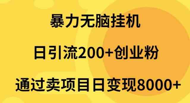 （9788期）暴力无脑挂机日引流200+创业粉通过卖项目日变现2000+-柚子网创