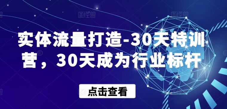 实体流量打造-30天特训营，30天成为行业标杆-柚子网创