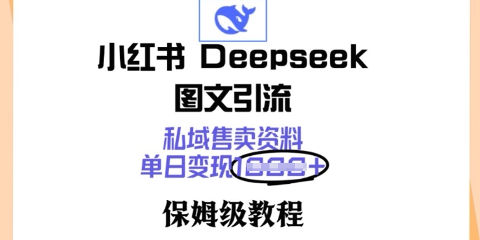 小红书Deepseek图文引流，私域售卖资料，单日变现多张，保姆级教程-柚子网创