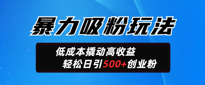 暴力吸粉玩法，日引500+精准创业粉，日变现轻松多张-柚子网创