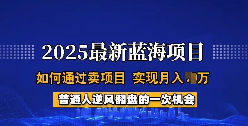 2025蓝海项目，普通人如何通过卖项目，实现月入过W，全过程【揭秘】-柚子网创