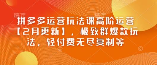 拼多多运营玩法课高阶运营【2月更新】，极致群爆款玩法，轻付费无尽复制等-柚子网创